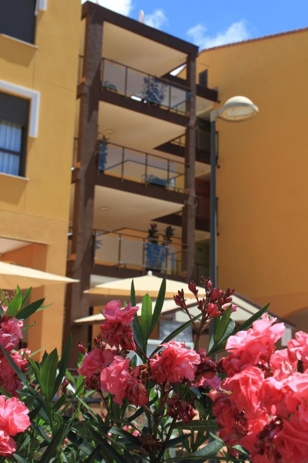 Spacious Apartment With Large Private Garden In Palm Mar Exteriör bild