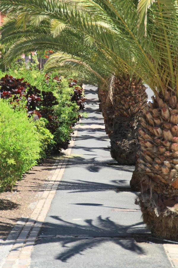 Spacious Apartment With Large Private Garden In Palm Mar Exteriör bild